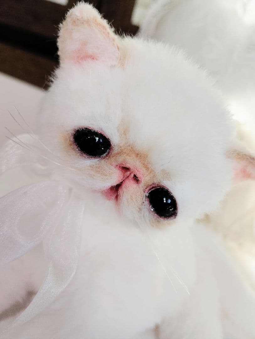 エキゾチック子猫ちゃん♡くりりんオメメ♡アートドール♡ぬいぐるみ♡