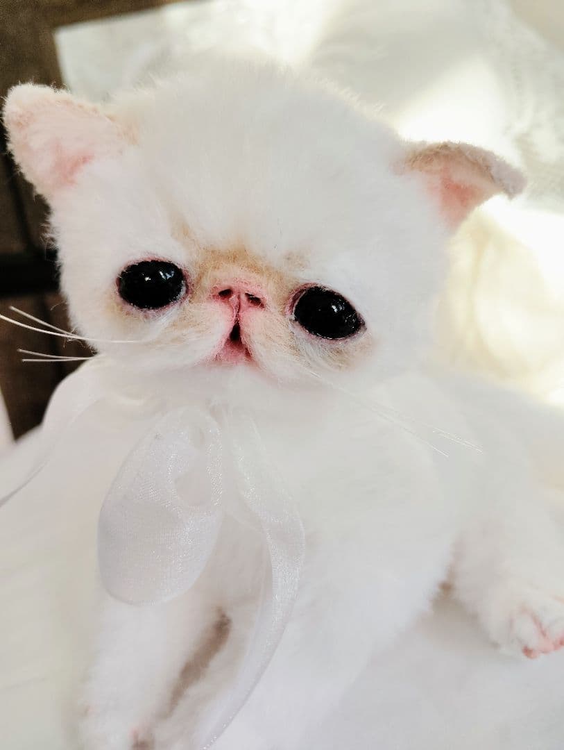 エキゾチック子猫ちゃん♡くりりんオメメ♡アートドール♡ぬいぐるみ♡