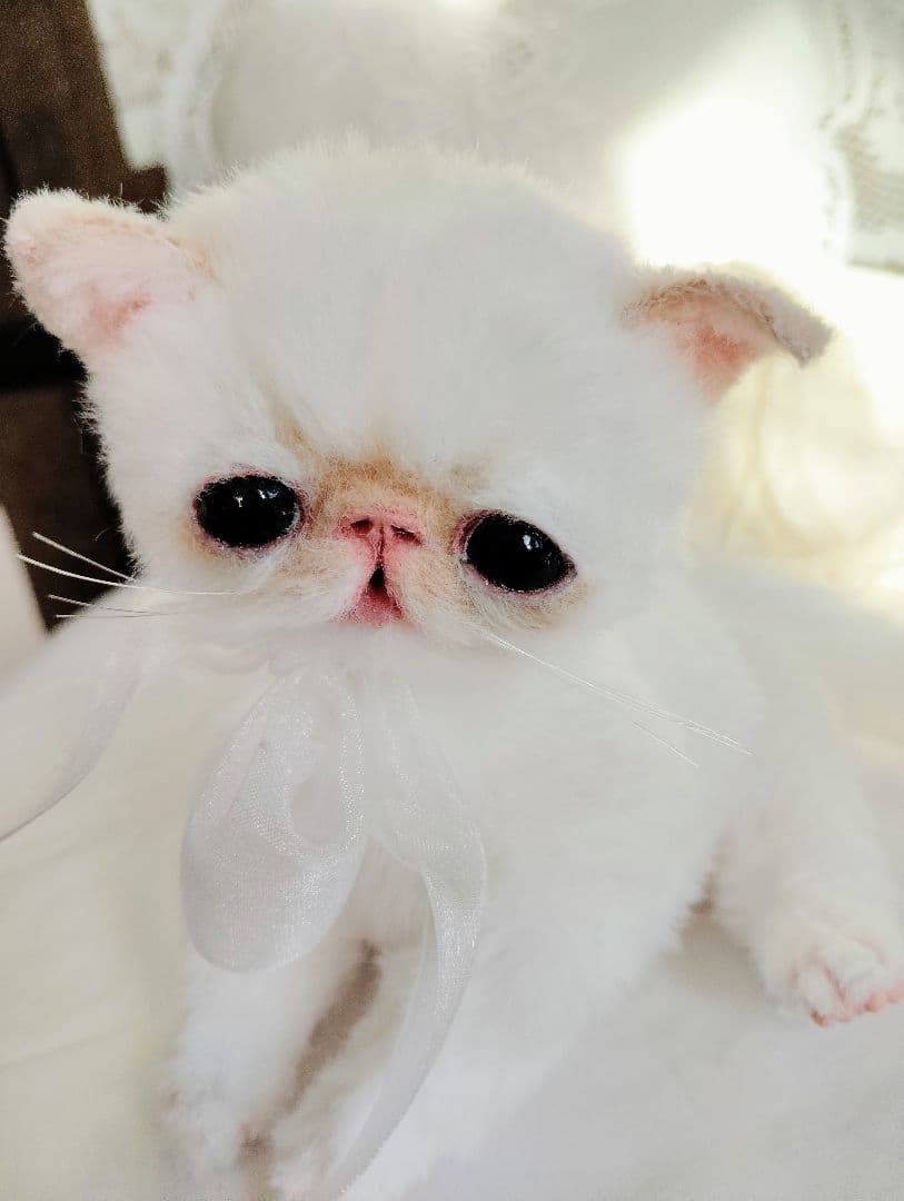 エキゾチック子猫ちゃん♡くりりんオメメ♡アートドール♡ぬいぐるみ♡