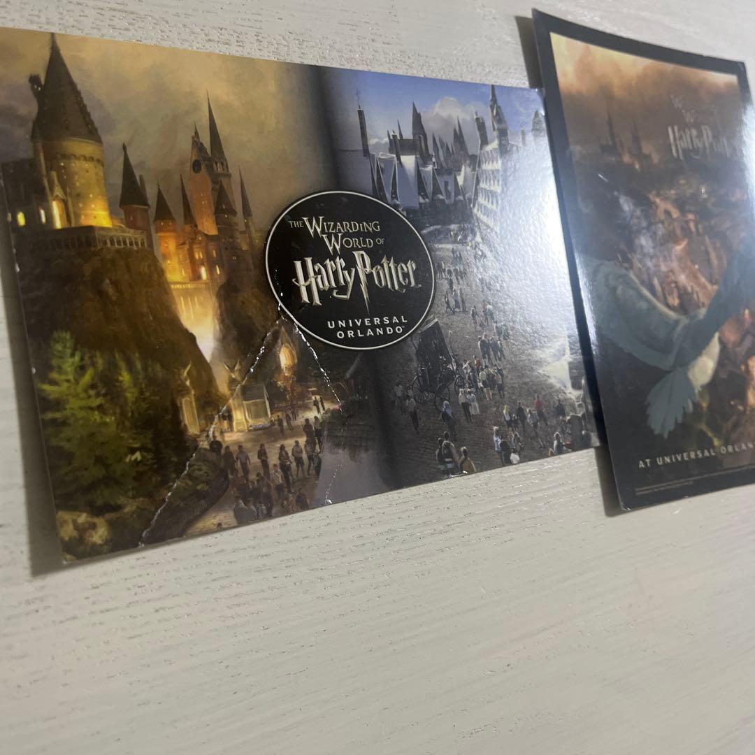 OLLIVANDRRS魔法の杖レアとハリーポッターの杖set