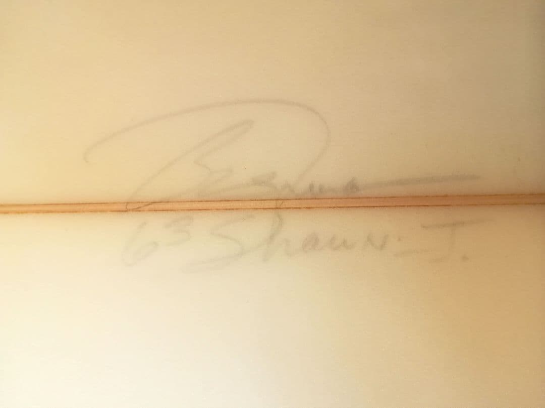 6'3ft ショートボード　BUSH MAN