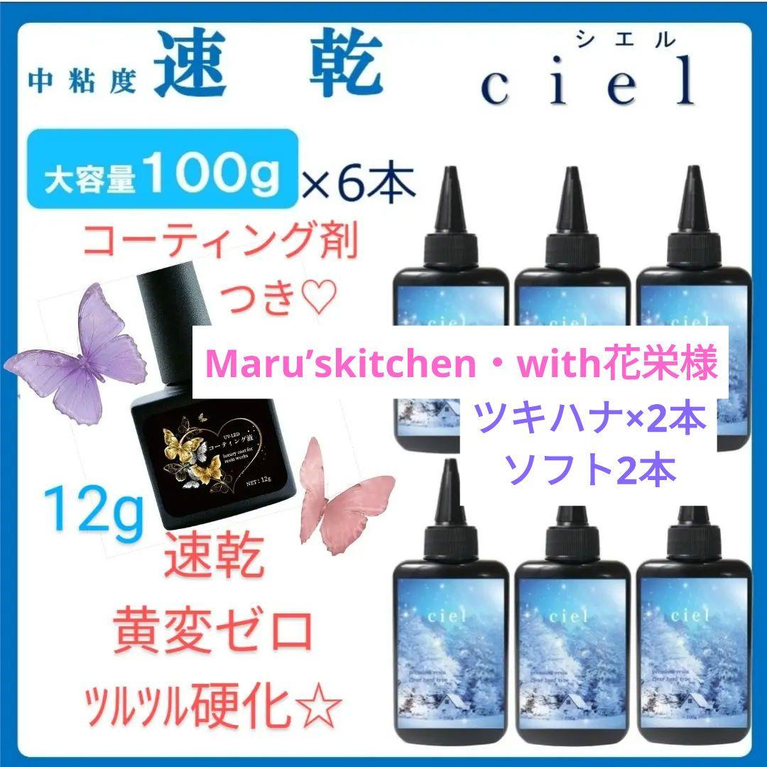 専用レジン液 シエル6本、ツキハナ2本、ソフト2本、コーティング剤つき✩.*˚