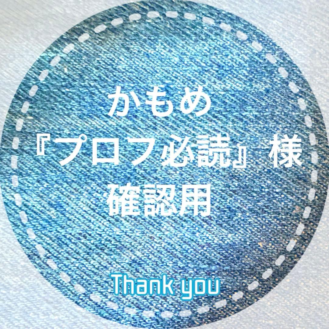 かもめ『プロフ必読』様 確認用