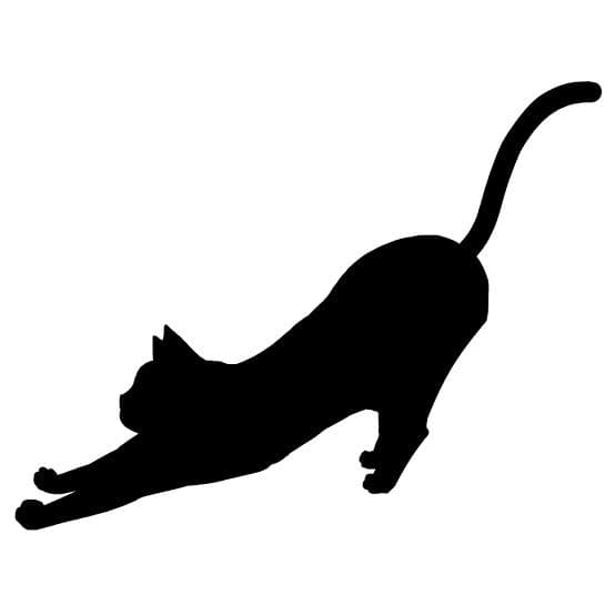 かかす