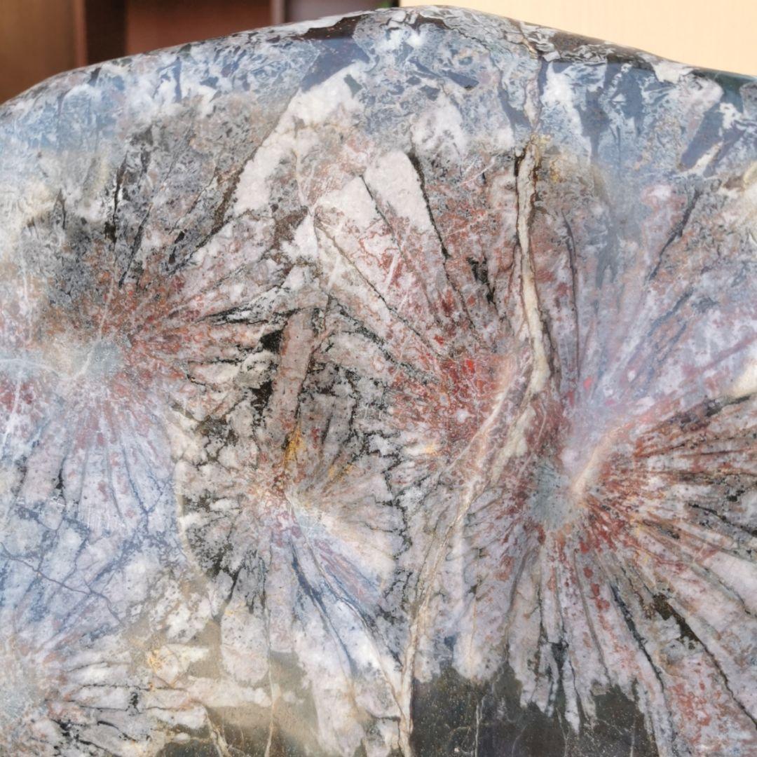 根尾谷産　菊花石　11.2キロ　鑑賞石　石　置物　オブジェ　インテリア　盆石