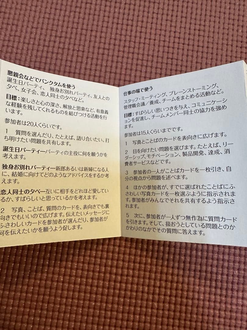 【日本語版】POINTS OF YOU パンクタム