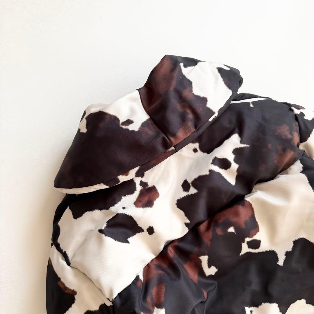 ドリスヴァンノッテン 22AW ダウン マルチカラー　コレクション　ジャケット