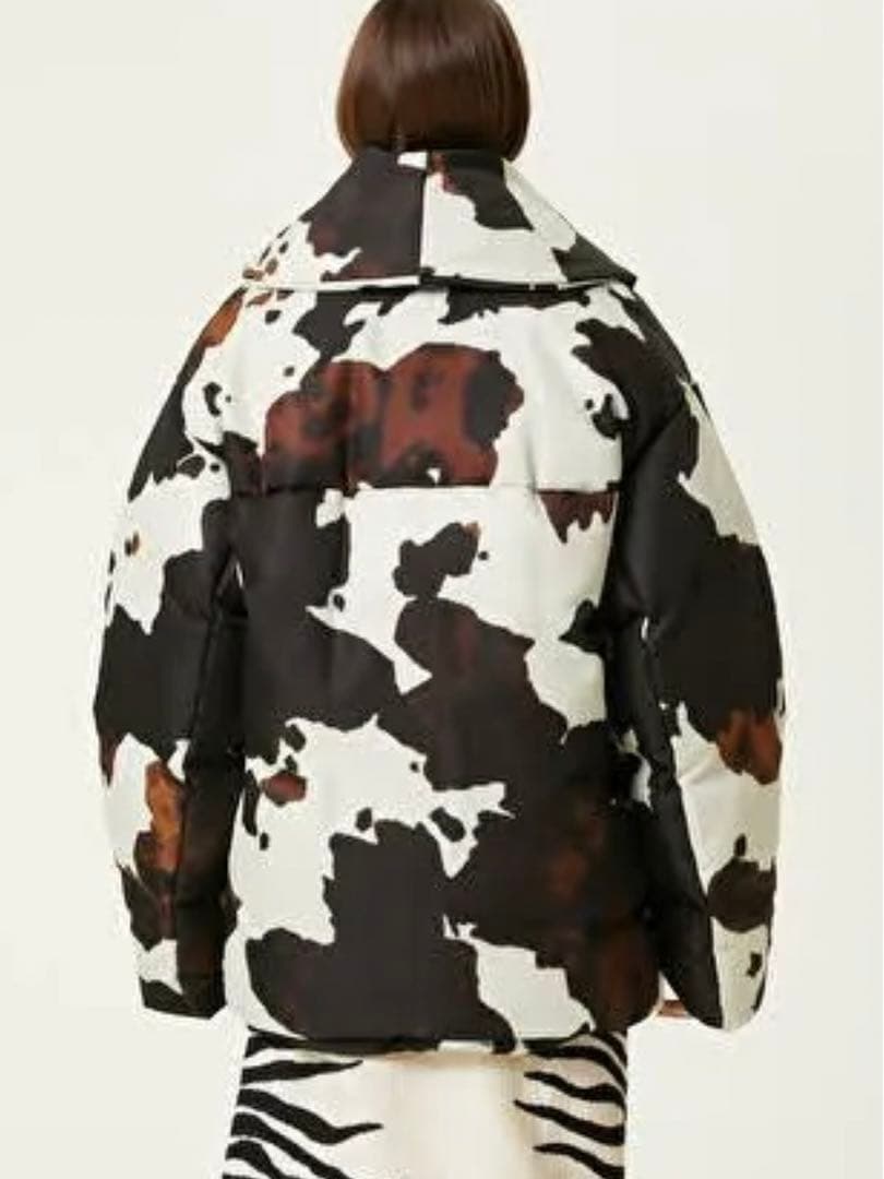 ドリスヴァンノッテン 22AW ダウン マルチカラー　コレクション　ジャケット