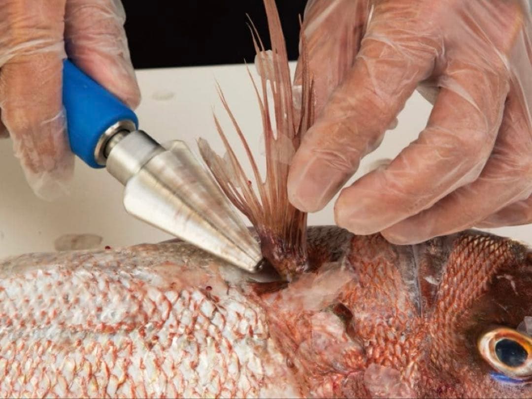 業務用　ウロコ取り機　タスケール