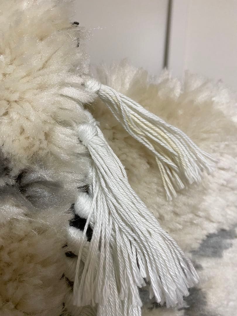 クラッシュゲート　ラグ