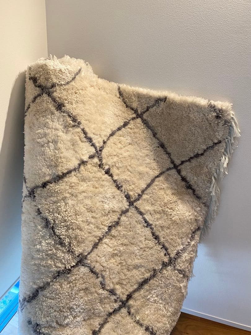 クラッシュゲート　ラグ