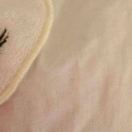 本日まで　ワンピース2枚