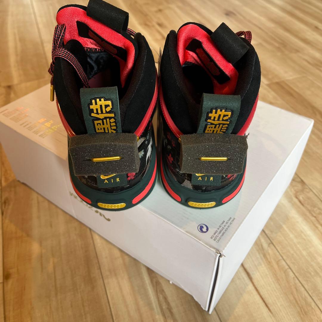 新品未使用NIKEエアジョーダンXXXVI RUI PF