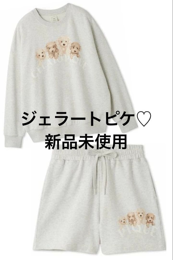 ジェラートピケ トイプードル 上下セット 新品未使用　裏毛　国内正規品
