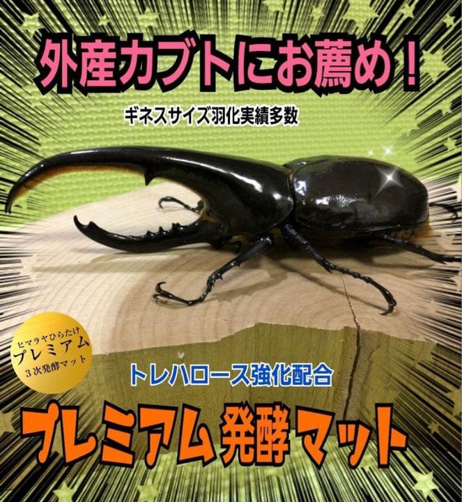 大人気！雑虫がわかない！完全室内製造！極上！プレミアム発酵カブトムシマット　6袋