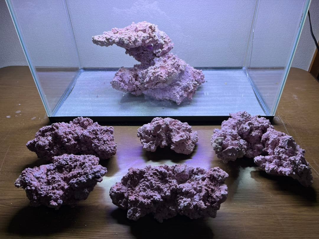 人工ライブロック6個セット