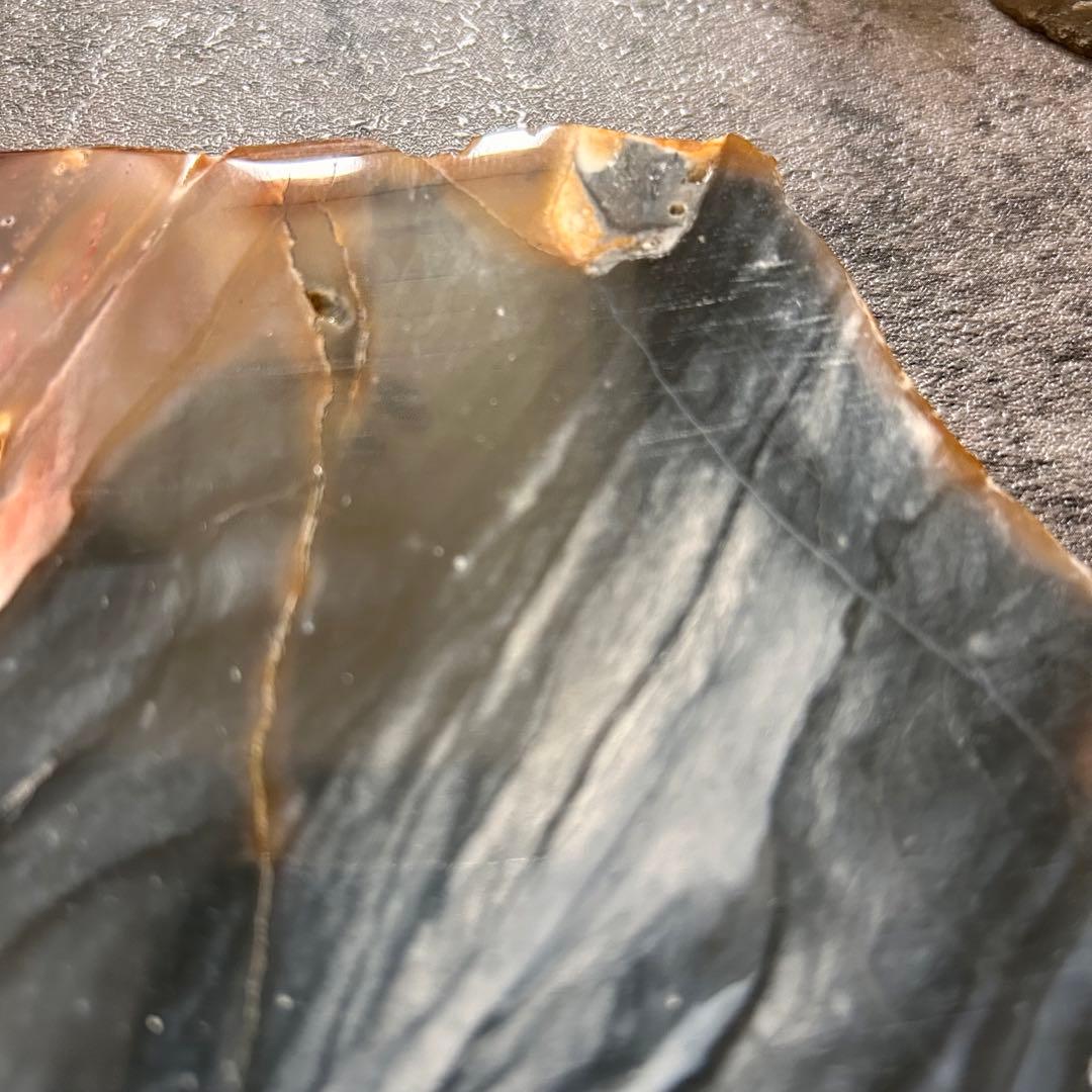 天然石　珪化木　スライス