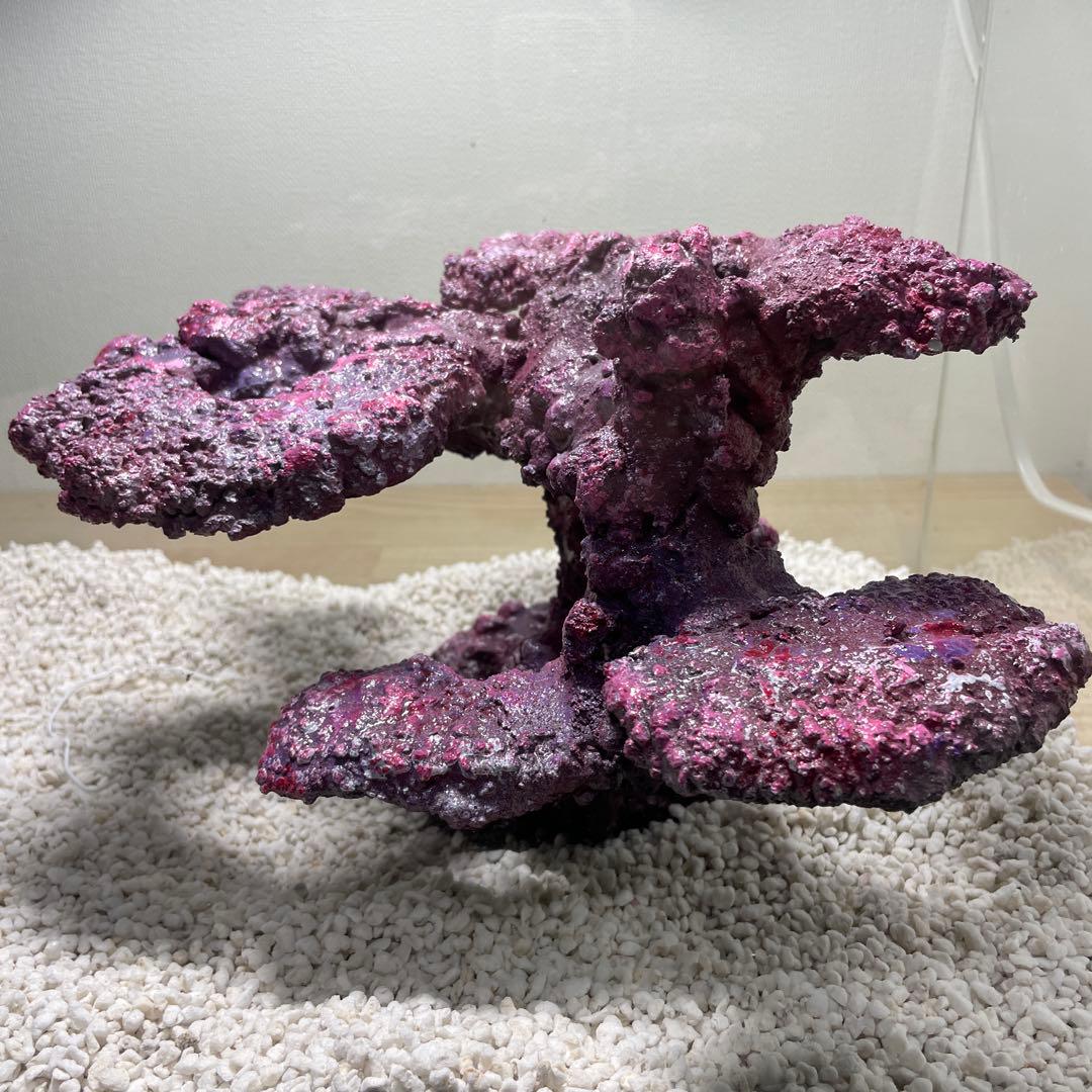 現物在庫SALE‼︎人工ライブロック　SHR23 アク抜き済み安心塗料使用