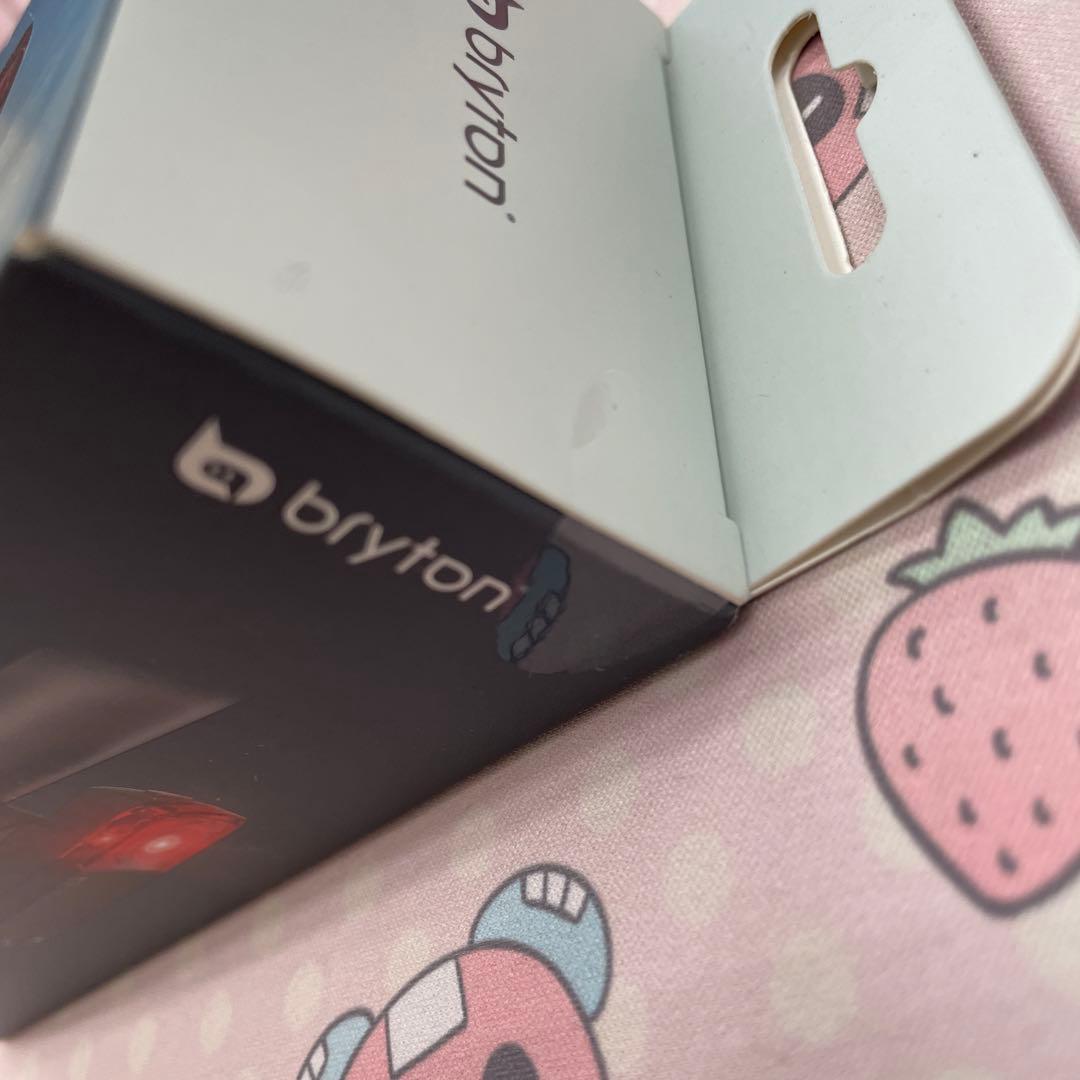 11314 ブライトン ガーディア Bryton Gardia R300L