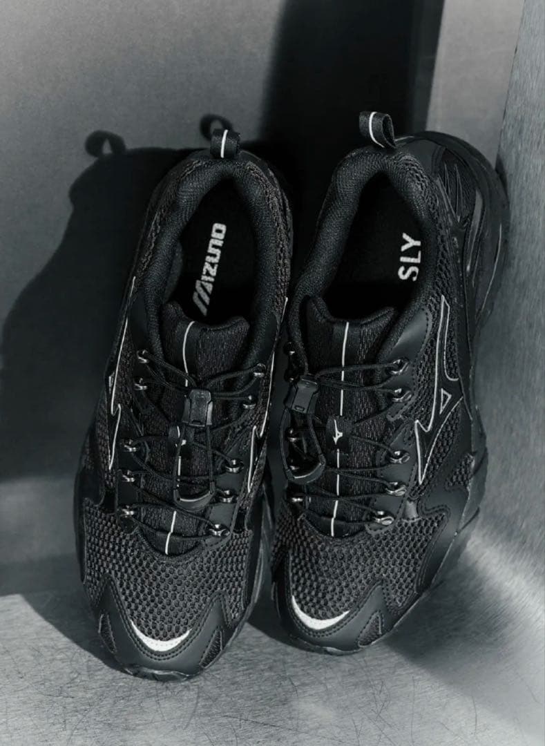 靴 WAVE RIDER 10 SLY 25cm