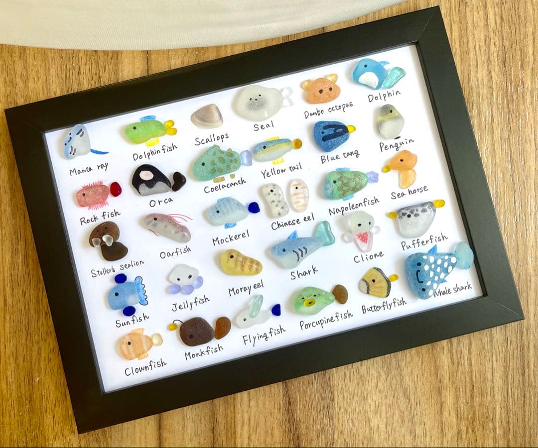 シーグラスアート☆No.399 図鑑　海の生き物　ギフト　プレゼント インテリア