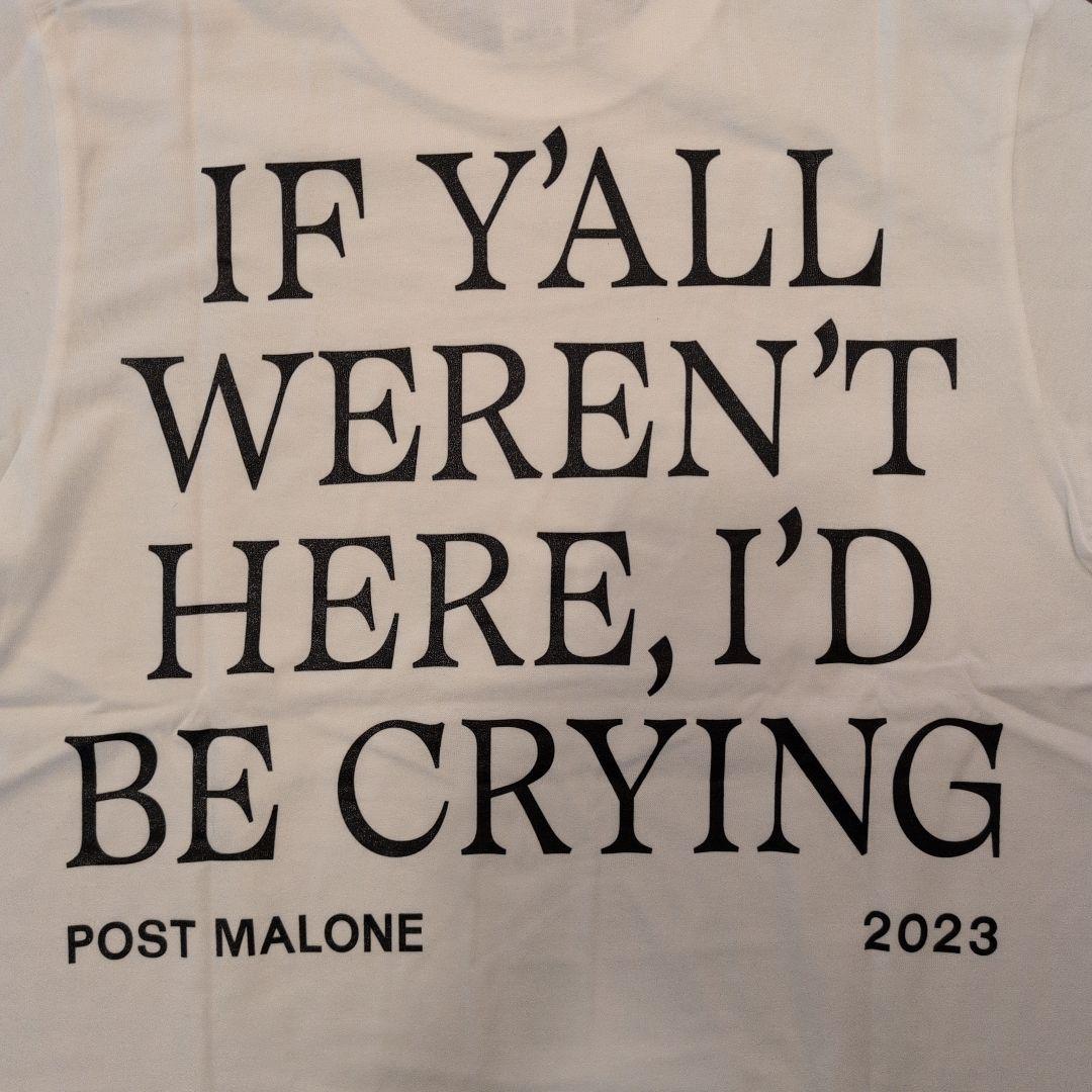 Post Malone × 河村康輔 Tシャツ M / アート×音楽 コラボ