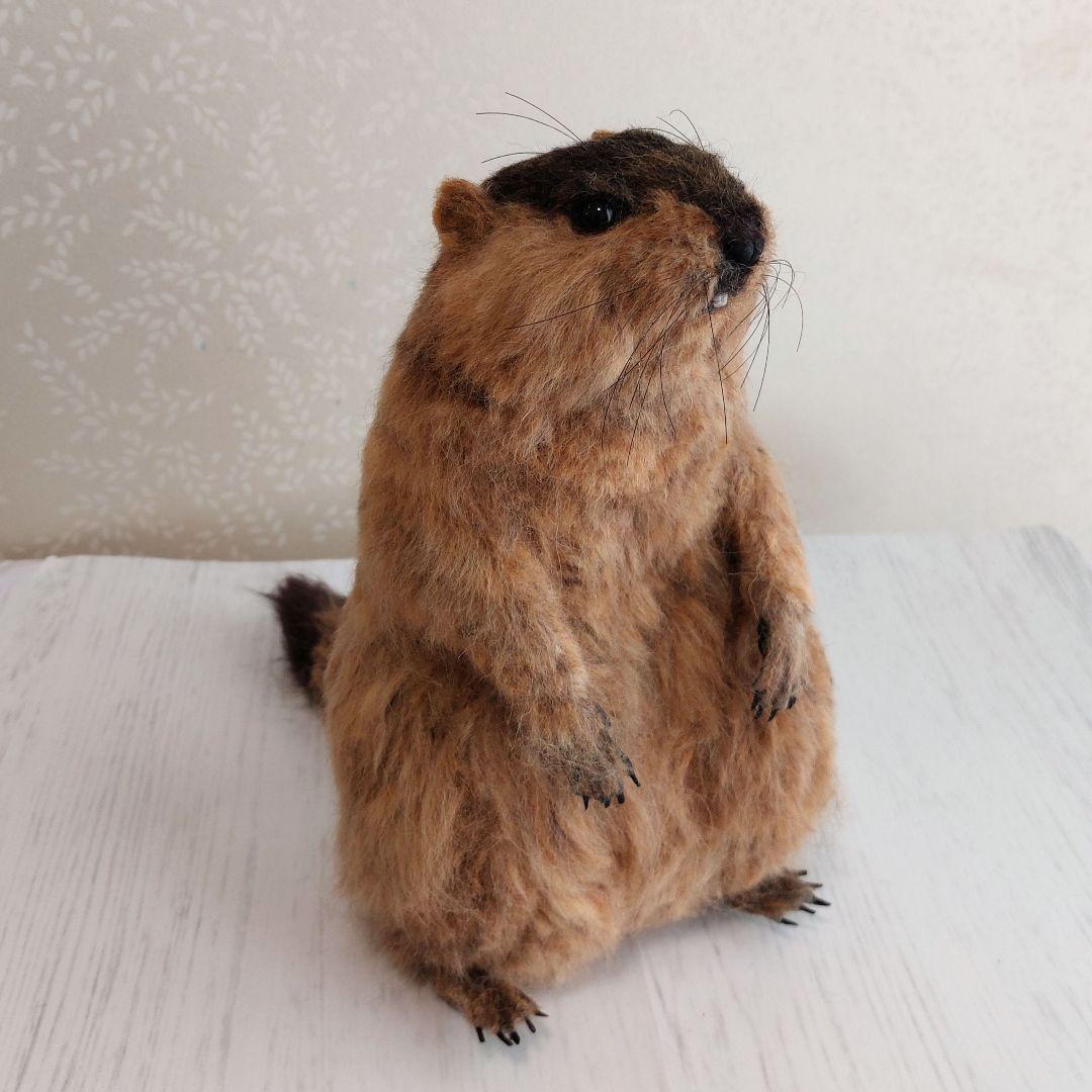 羊毛フェルト　マーモット
