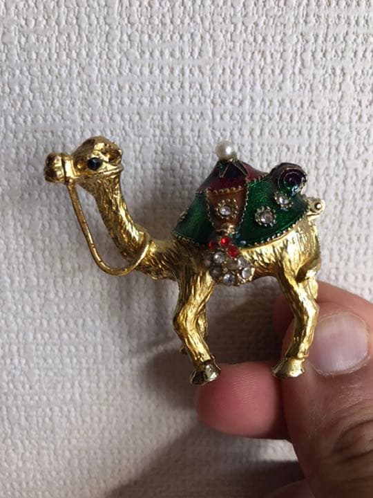 エジプトのグルデンラクダ