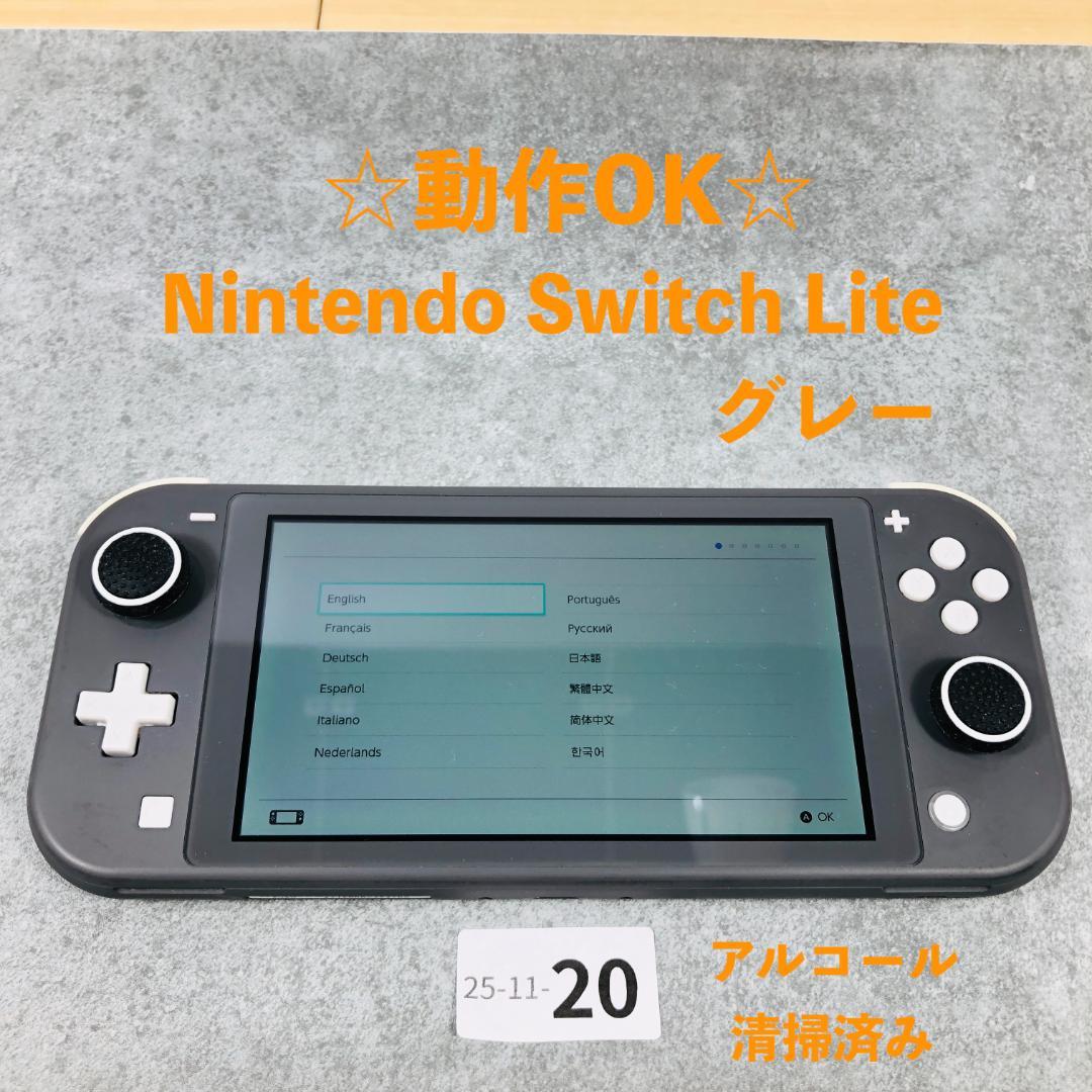 [動作OK] Nintendo Switch Lite グレー 本体 11-20