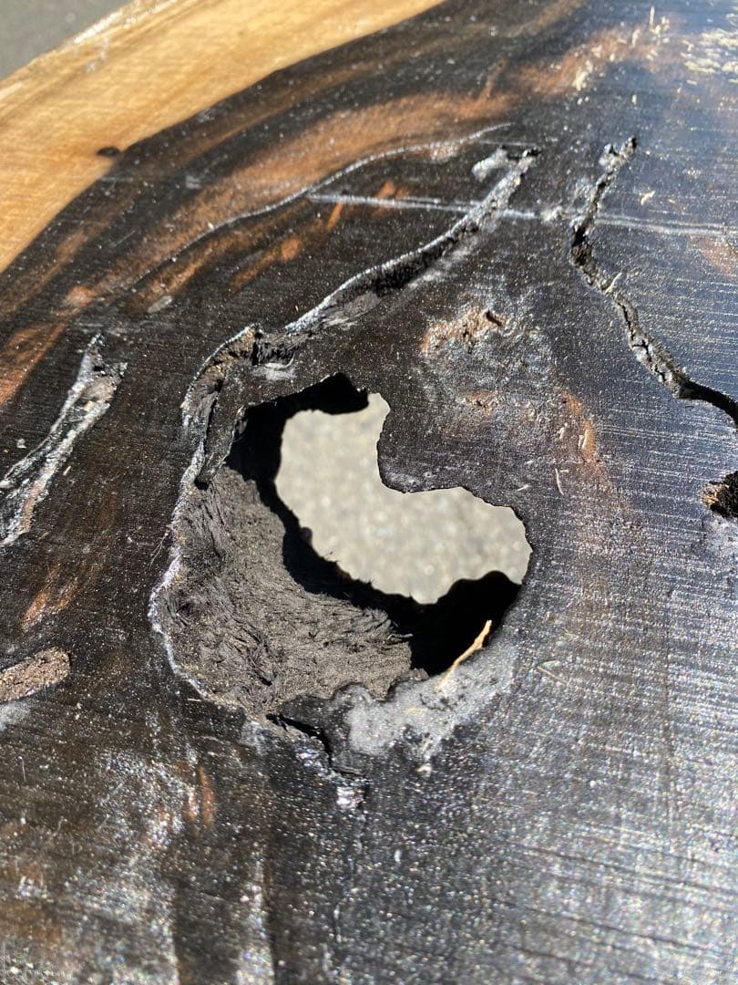 [即購入OK] 黒柿(くろがき)耳付き一枚板　黒縞　杢　DIY 素材　完全乾燥材