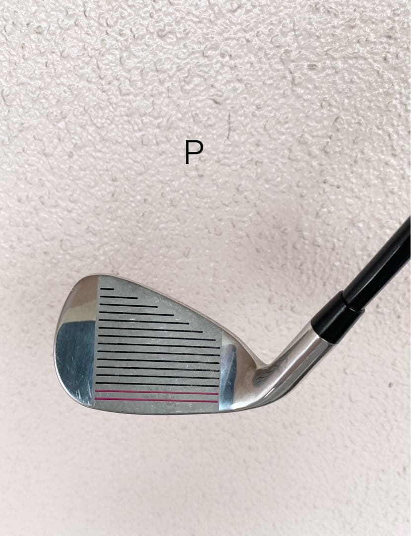 WORLD EAGLE ゴルフクラブセット 10本キャディバックレディース