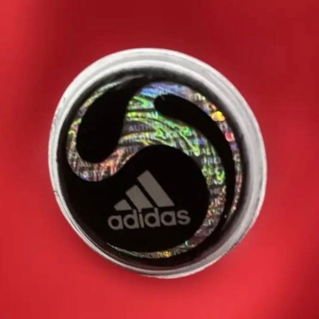 ユーロ2008優勝 スペイン代表 フェルナンド トーレス