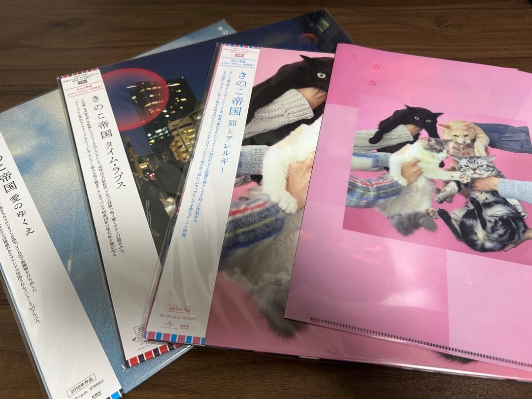 きのこ帝国 アナログ レコード 3枚セット