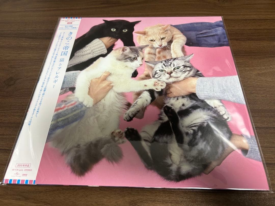 きのこ帝国 アナログ レコード 3枚セット