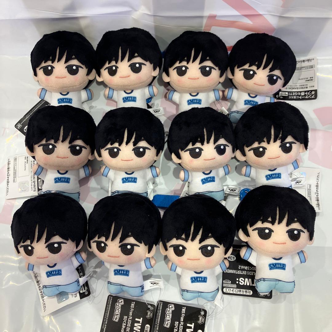 ドフン TWS ちびぐるみ vol.2 トゥアス ナムコ限定 12個 0130