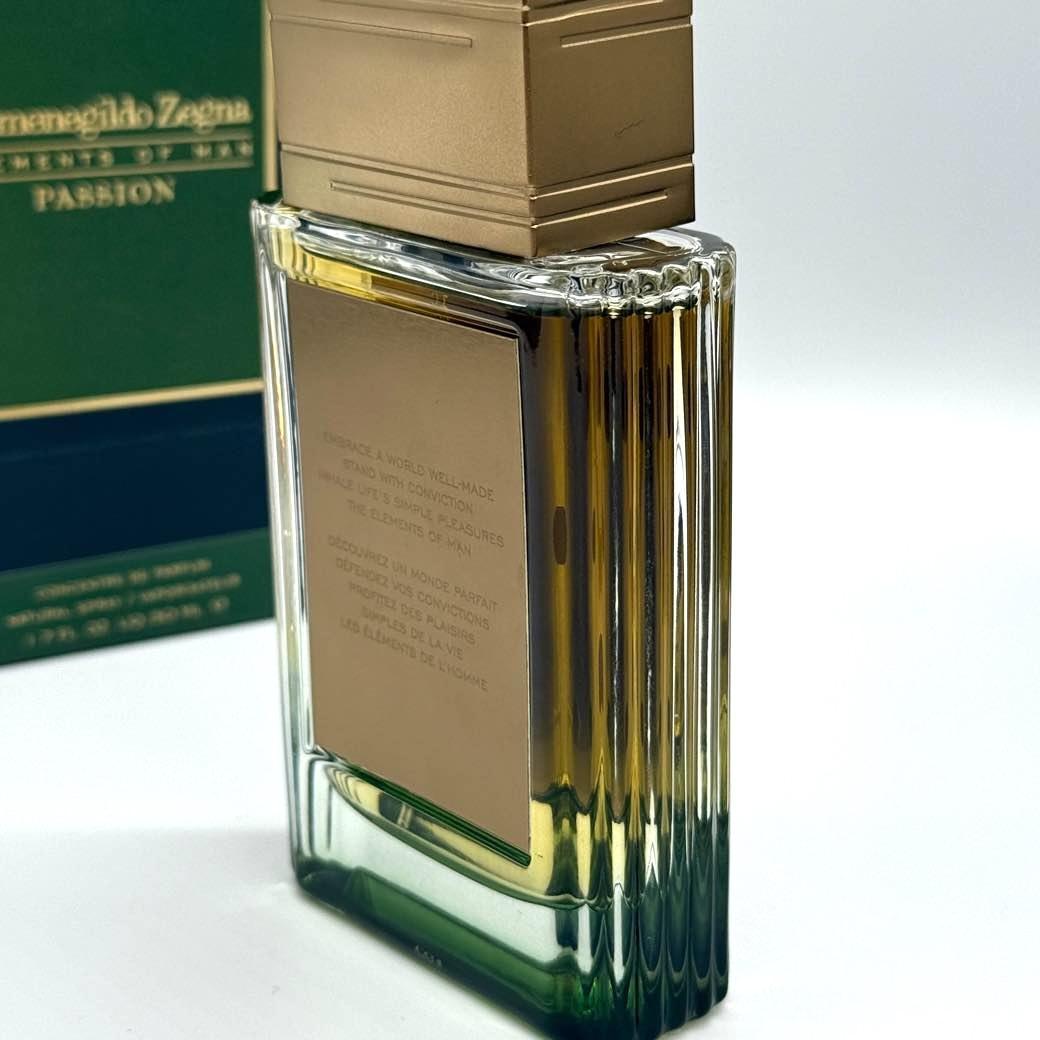 Ermenegildo Zegna エレメンツ オブ マン パッション