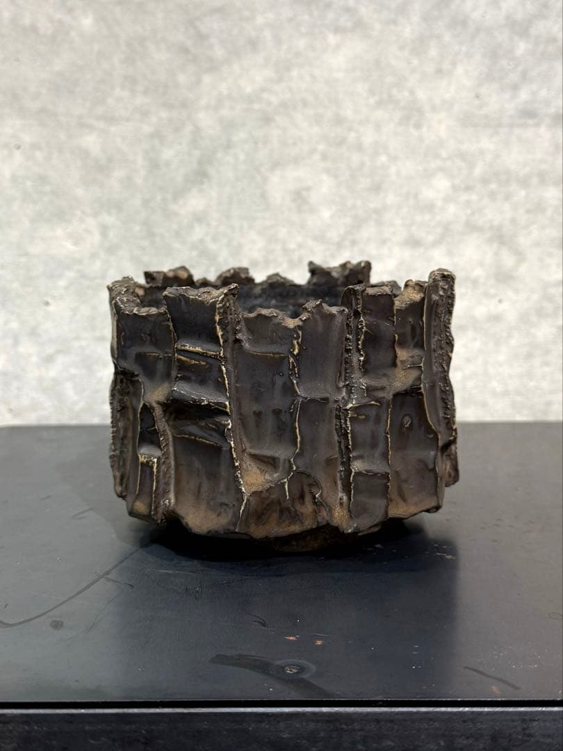 RAW LIFE FACTORY 検) y鉢 細川政己 パキプス グラキリス