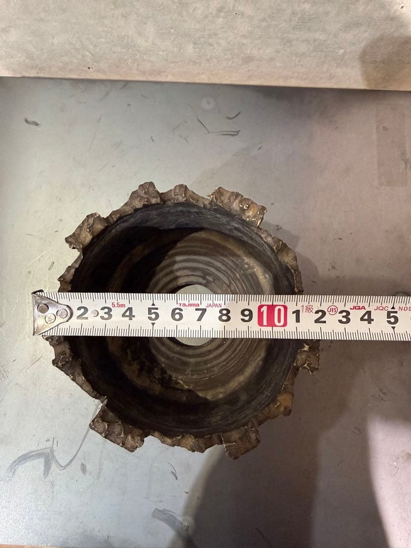 RAW LIFE FACTORY 検) y鉢 細川政己 パキプス グラキリス