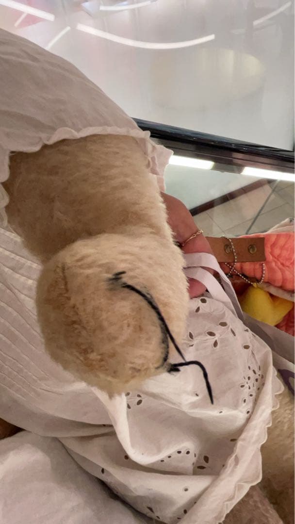 フランス　アンティーク　テディベア ぬいぐるみ