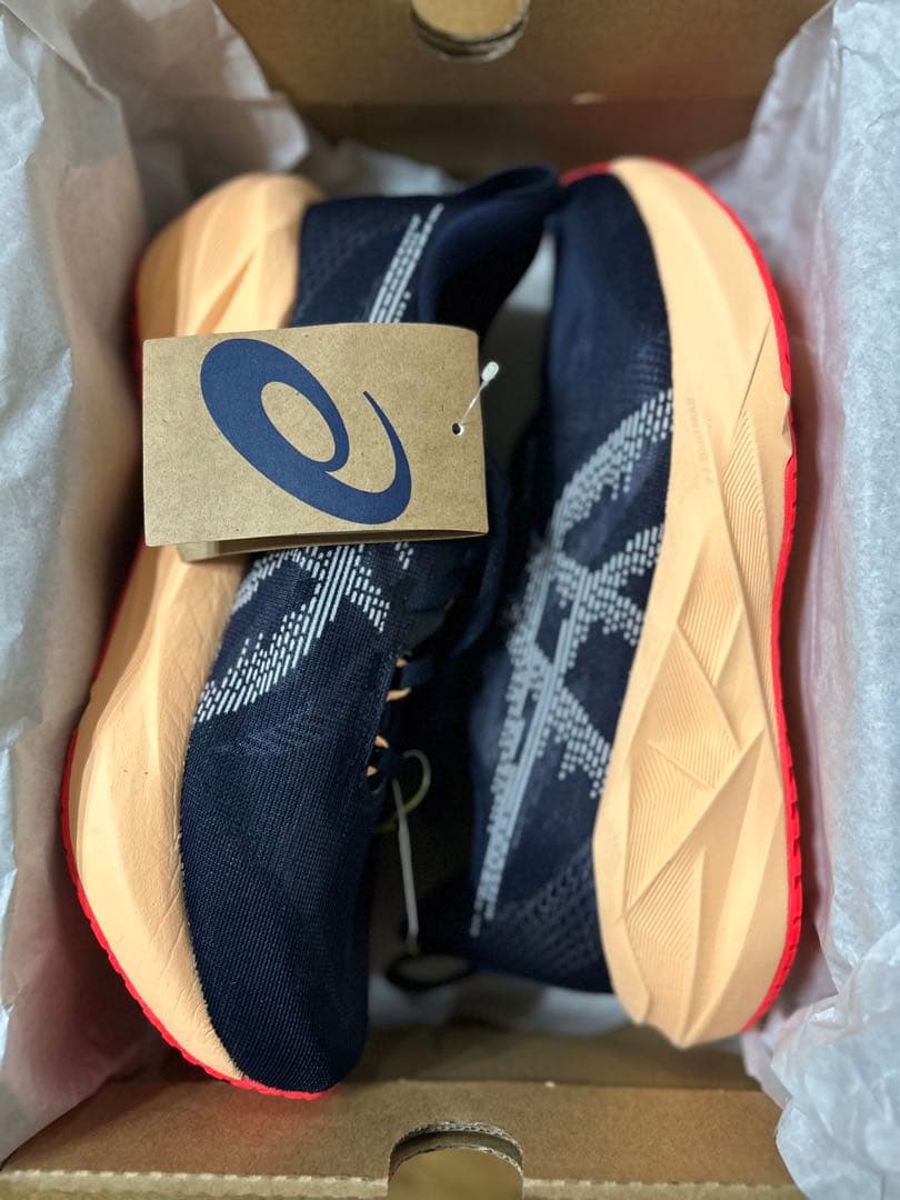 ASICS NOVABLAST 5 25.0cm ワイド