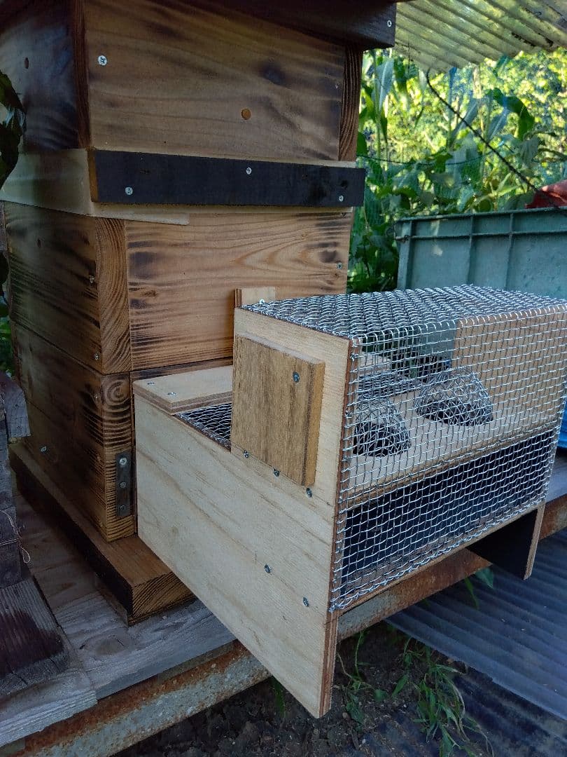 スズメバチ捕獲器 ２個売り 別名 スズメバチ生捕器