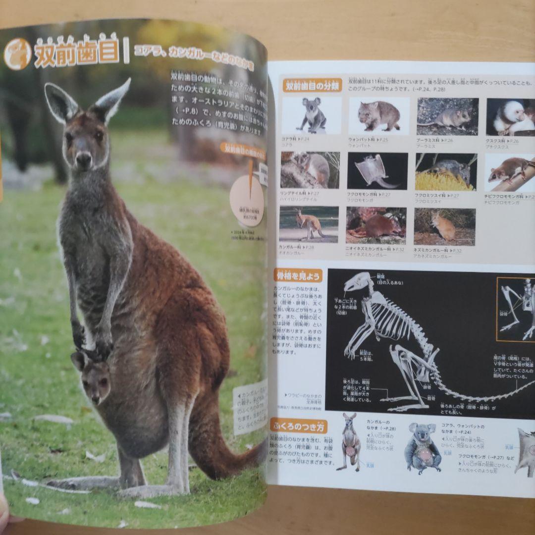 学研の図鑑LIVE（ライブ）魚・動物・人体・地球 新版4巻セット