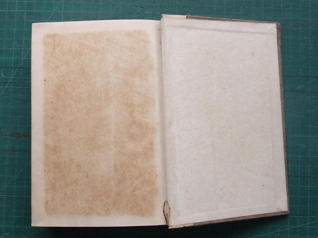 谷崎潤一郎　「痴人の愛」　初版本・大正１４年・改造社・函