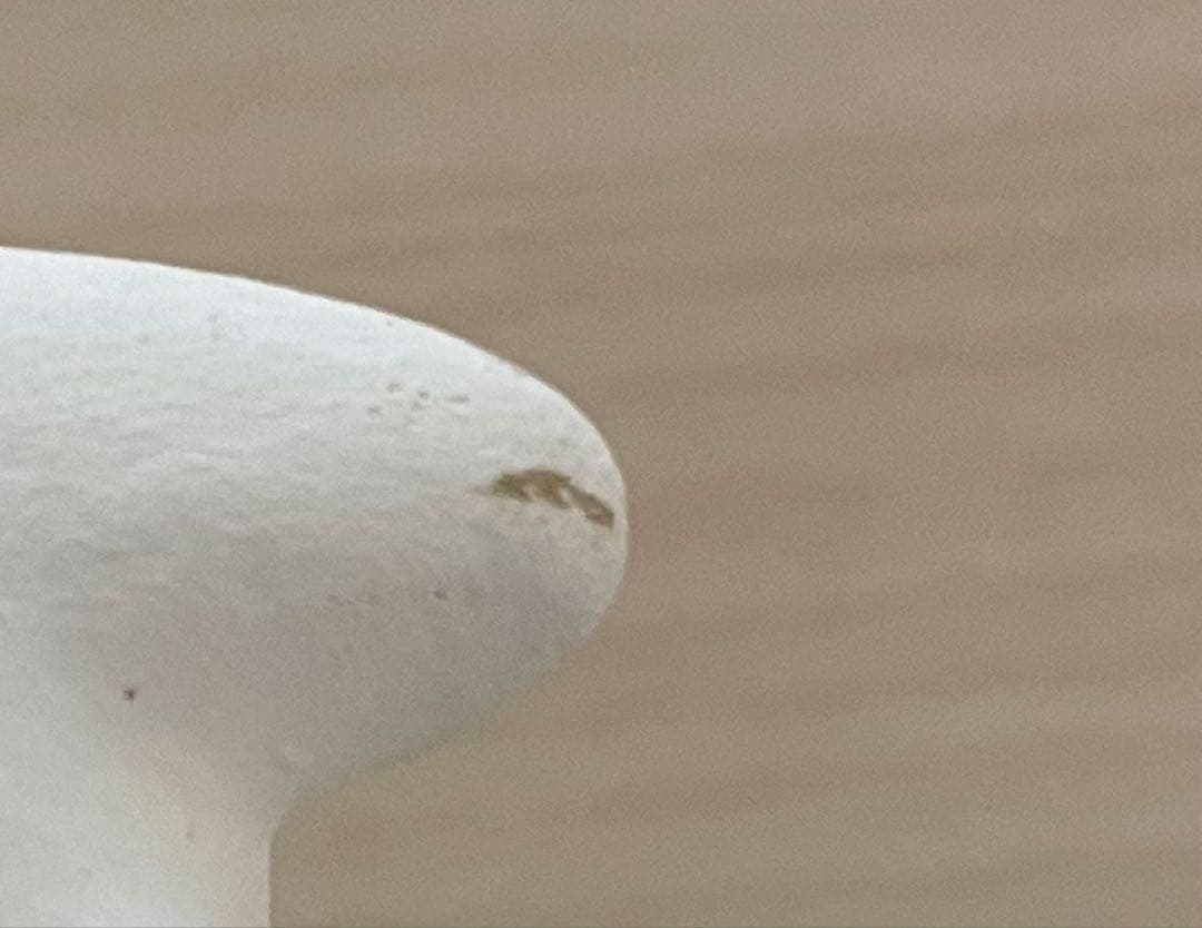 ムーミン博多人形 ムーミンとスノークのお嬢様値下げ交渉可