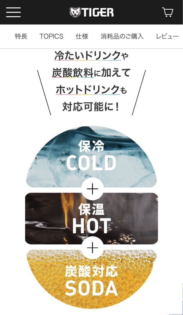 【希少】〜サザン最後の夏フェス〜 2024 RIJF ロッキン 水筒
