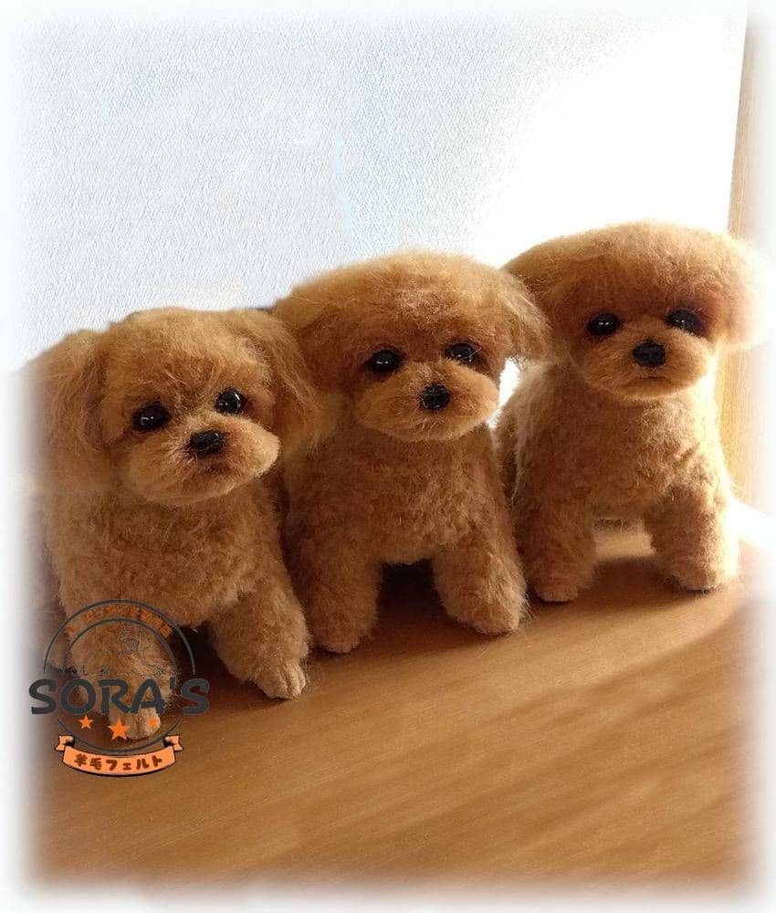 愛犬の羊毛フェルト・オーダー受付・わんちゃん