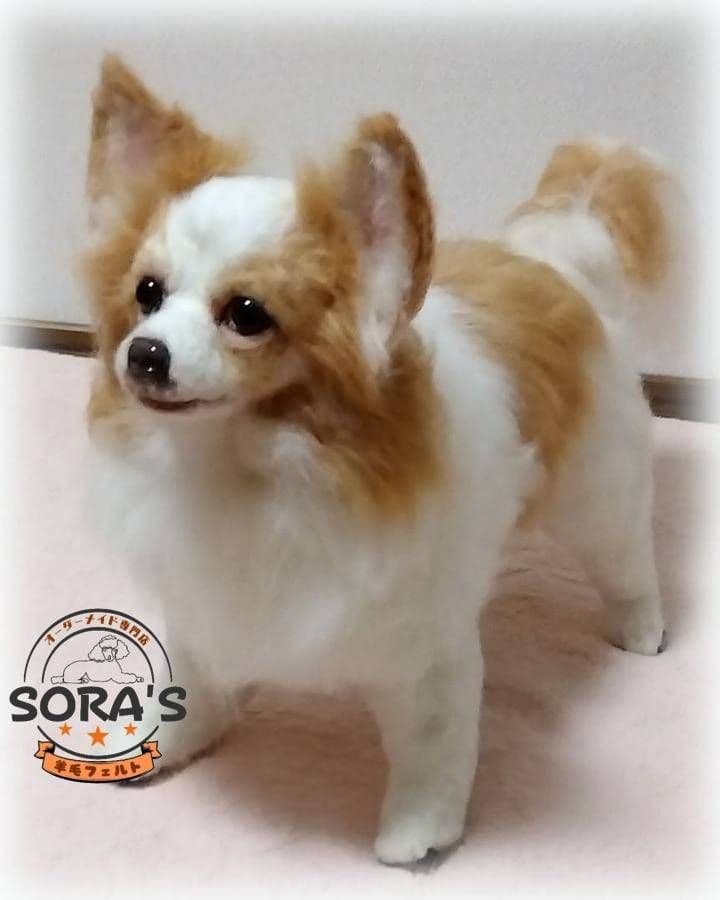 愛犬の羊毛フェルト・オーダー受付・わんちゃん