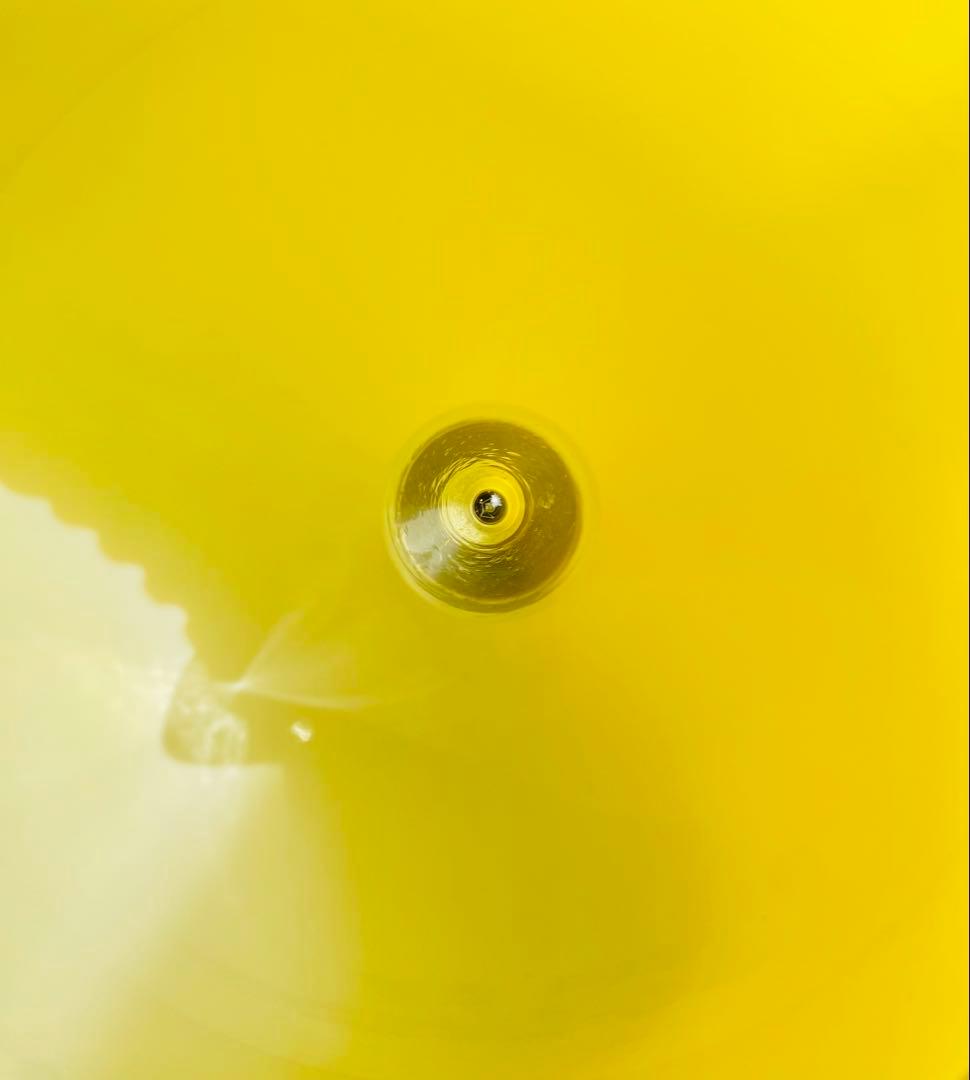 60sヴィンテージランプ スペースエイジ ミッドセンチュリー レトロ