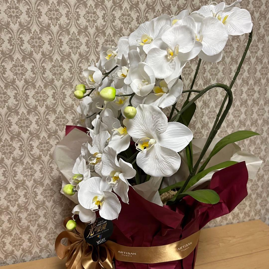 胡蝶蘭　造花　5本立て　40輪+10つぼみ　￼光触媒　高さ66cm