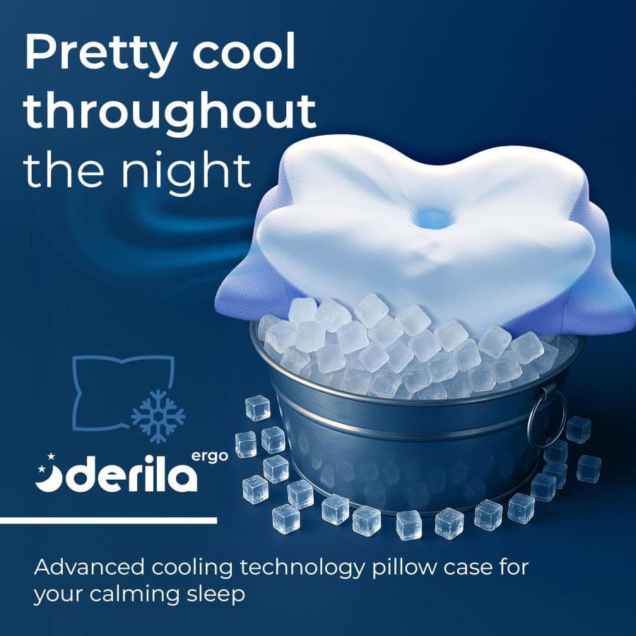 【２個セット】【新品・未使用】Derila Ergo Edition 枕・ピロー